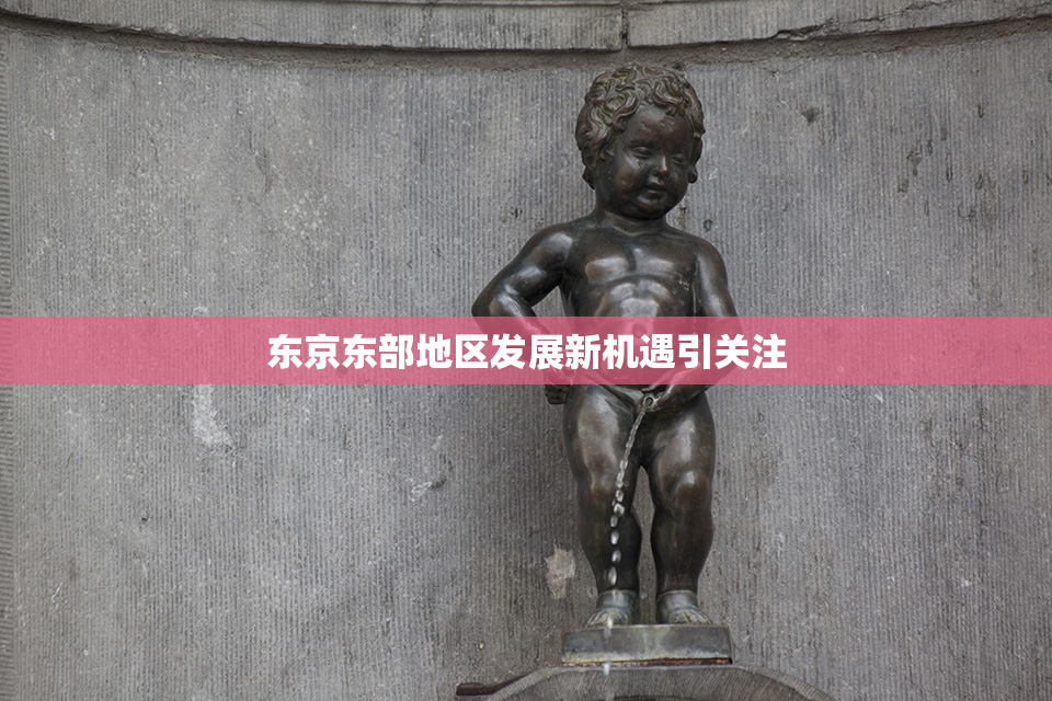 东京东部地区发展新机遇引关注
