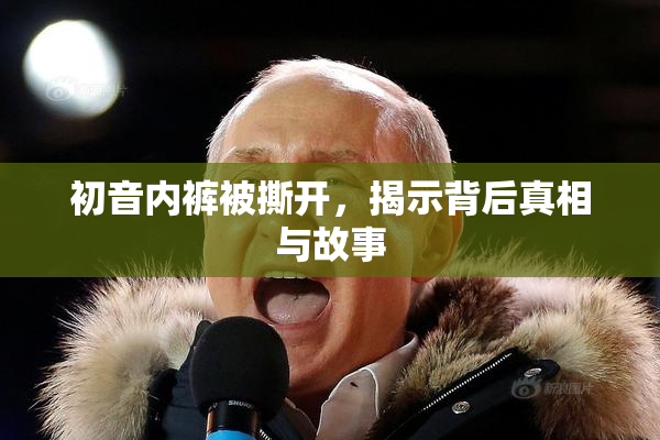 初音内裤被撕开，揭示背后真相与故事