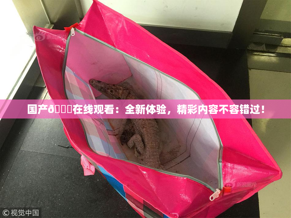 国产🔞在线观看：全新体验，精彩内容不容错过！