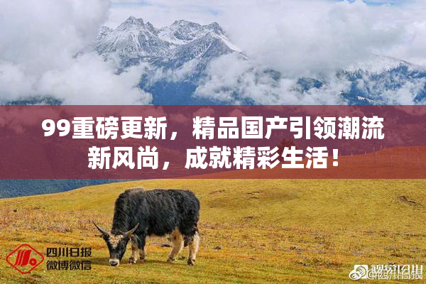 99重磅更新，精品国产引领潮流新风尚，成就精彩生活！