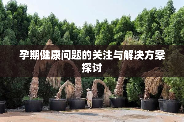 孕期健康问题的关注与解决方案探讨