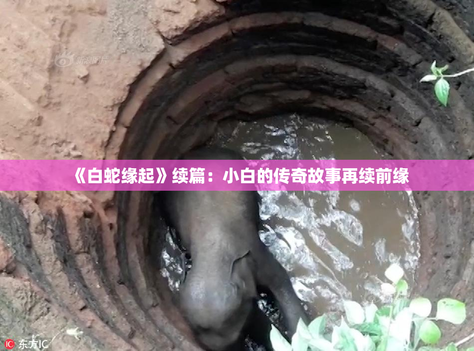 《白蛇缘起》续篇：小白的传奇故事再续前缘