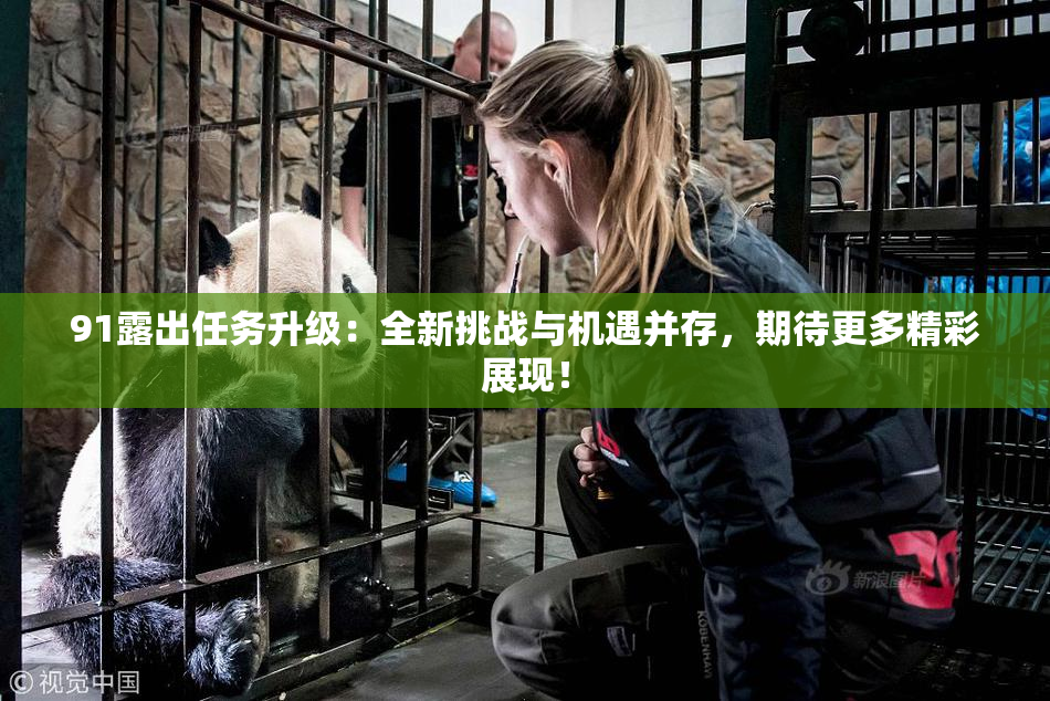 91露出任务升级：全新挑战与机遇并存，期待更多精彩展现！