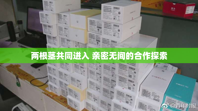 两根茎共同进入 亲密无间的合作探索