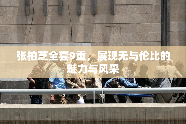 张柏芝全套9重，展现无与伦比的魅力与风采