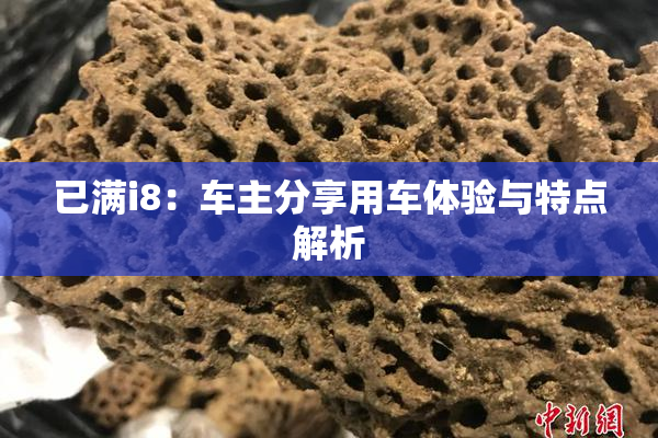 已满i8：车主分享用车体验与特点解析