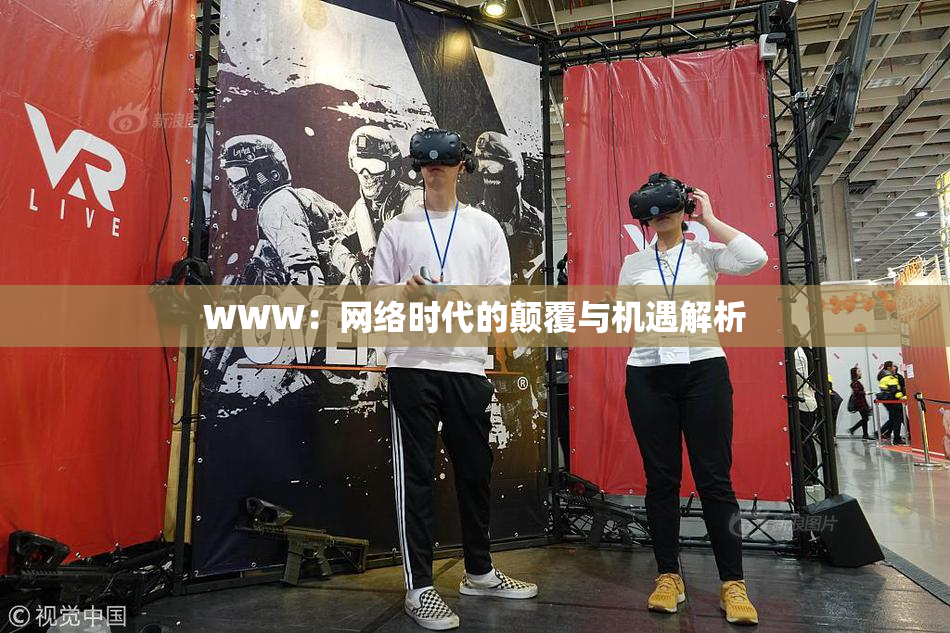 WWW：网络时代的颠覆与机遇解析