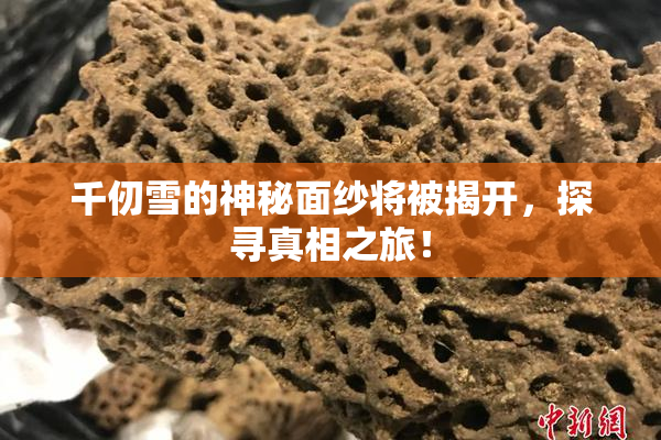 千仞雪的神秘面纱将被揭开，探寻真相之旅！