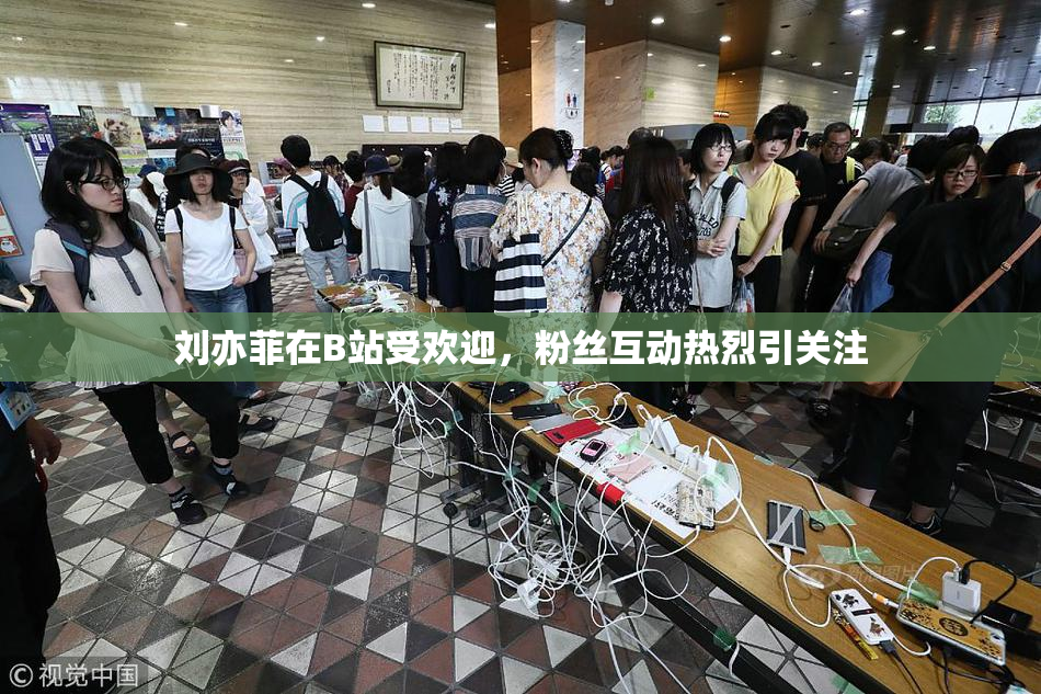 刘亦菲在B站受欢迎，粉丝互动热烈引关注