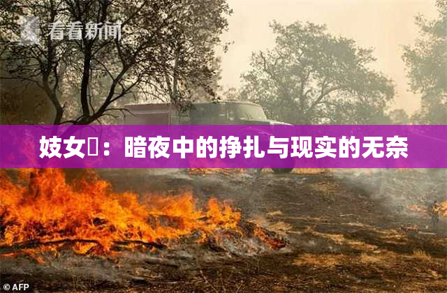 妓女梱：暗夜中的挣扎与现实的无奈