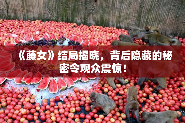 《藤女》结局揭晓，背后隐藏的秘密令观众震惊！