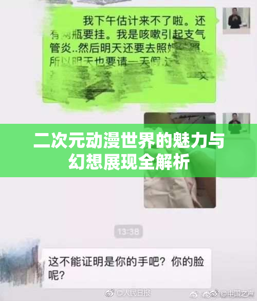 二次元动漫世界的魅力与幻想展现全解析
