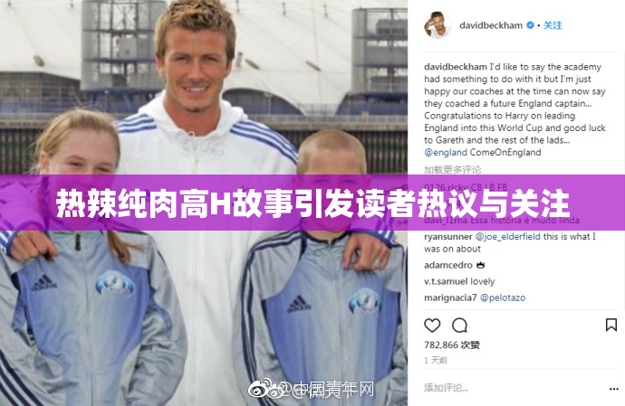 热辣纯肉高H故事引发读者热议与关注