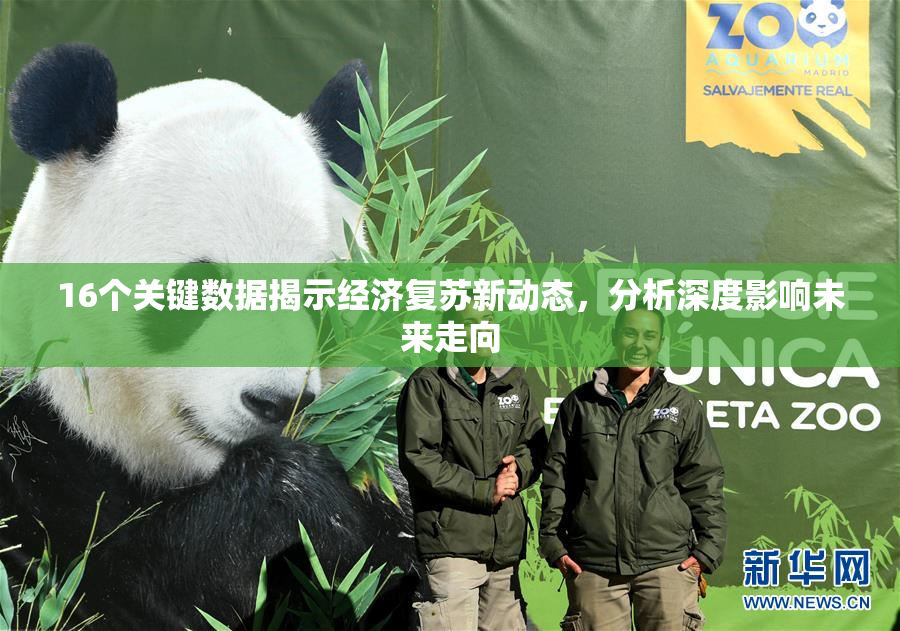 16个关键数据揭示经济复苏新动态，分析深度影响未来走向