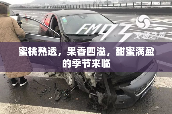 蜜桃熟透，果香四溢，甜蜜满盈的季节来临