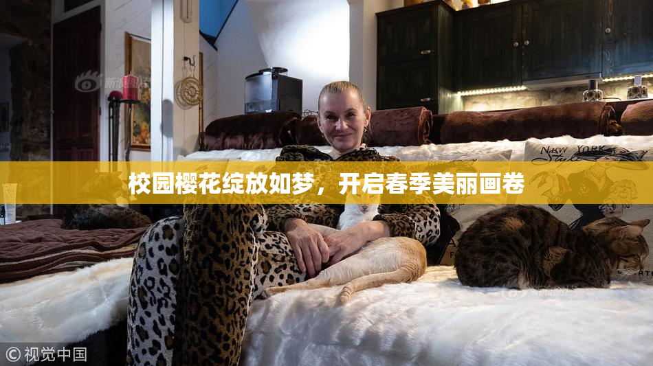 校园樱花绽放如梦，开启春季美丽画卷