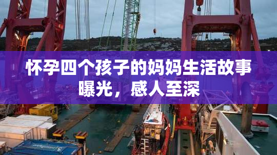 怀孕四个孩子的妈妈生活故事曝光，感人至深