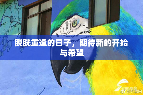 脱胱重逢的日子，期待新的开始与希望