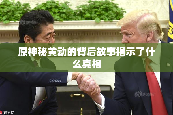 原神秘黄动的背后故事揭示了什么真相