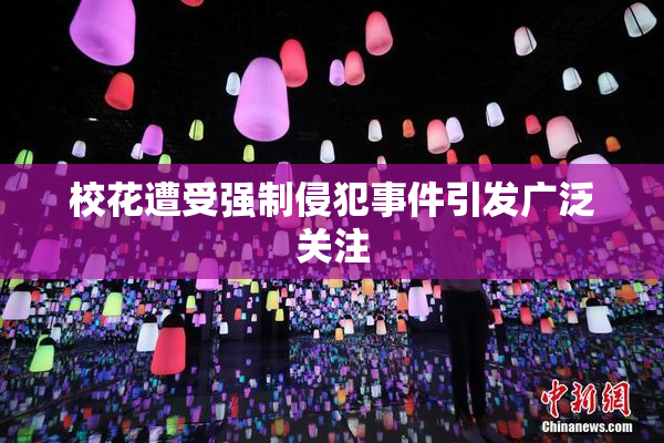 校花遭受强制侵犯事件引发广泛关注