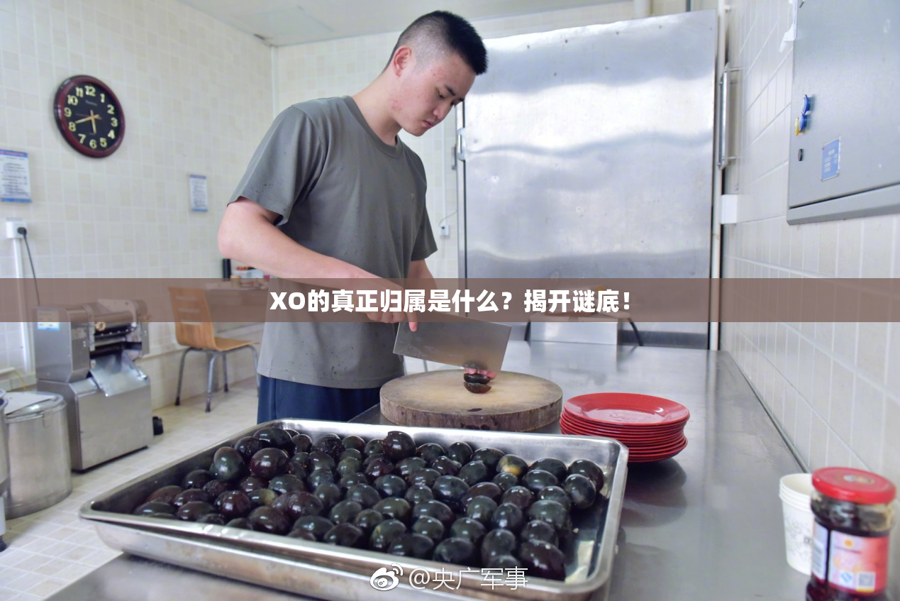 XO的真正归属是什么？揭开谜底！