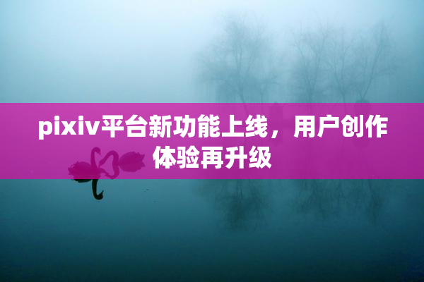 pixiv平台新功能上线，用户创作体验再升级
